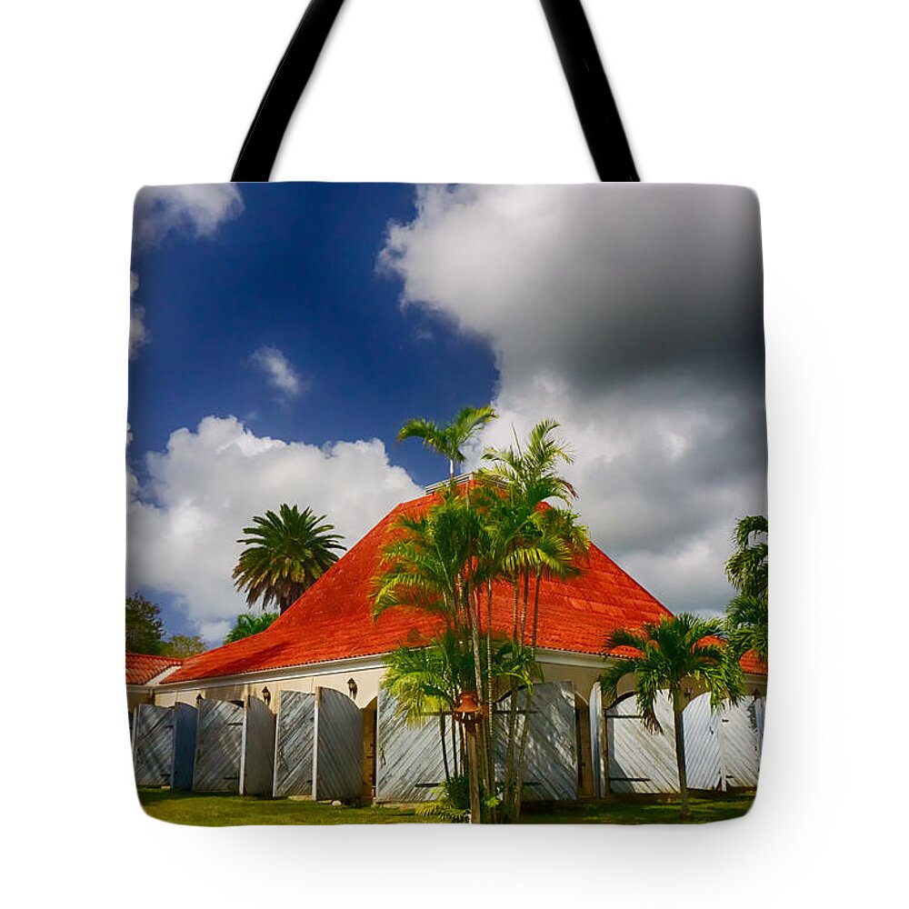 Light Tote Bag featuring the photograph St George Great Hall by Amanda Jones