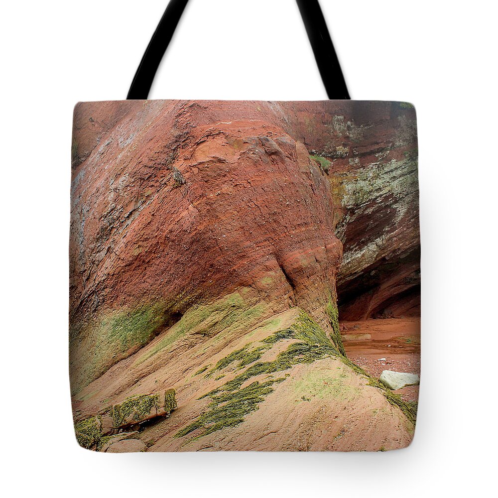 New Brunswick Tote Bag featuring the photograph St. Martins New Brunswick by Holly Ross