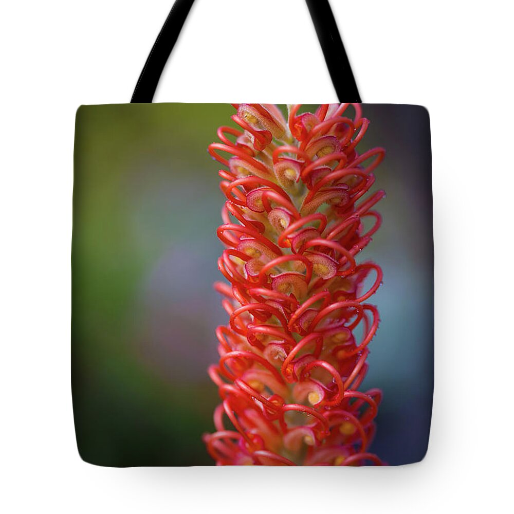 Grevillea Tote Bag featuring the photograph Stand Proud by Keith Hawley