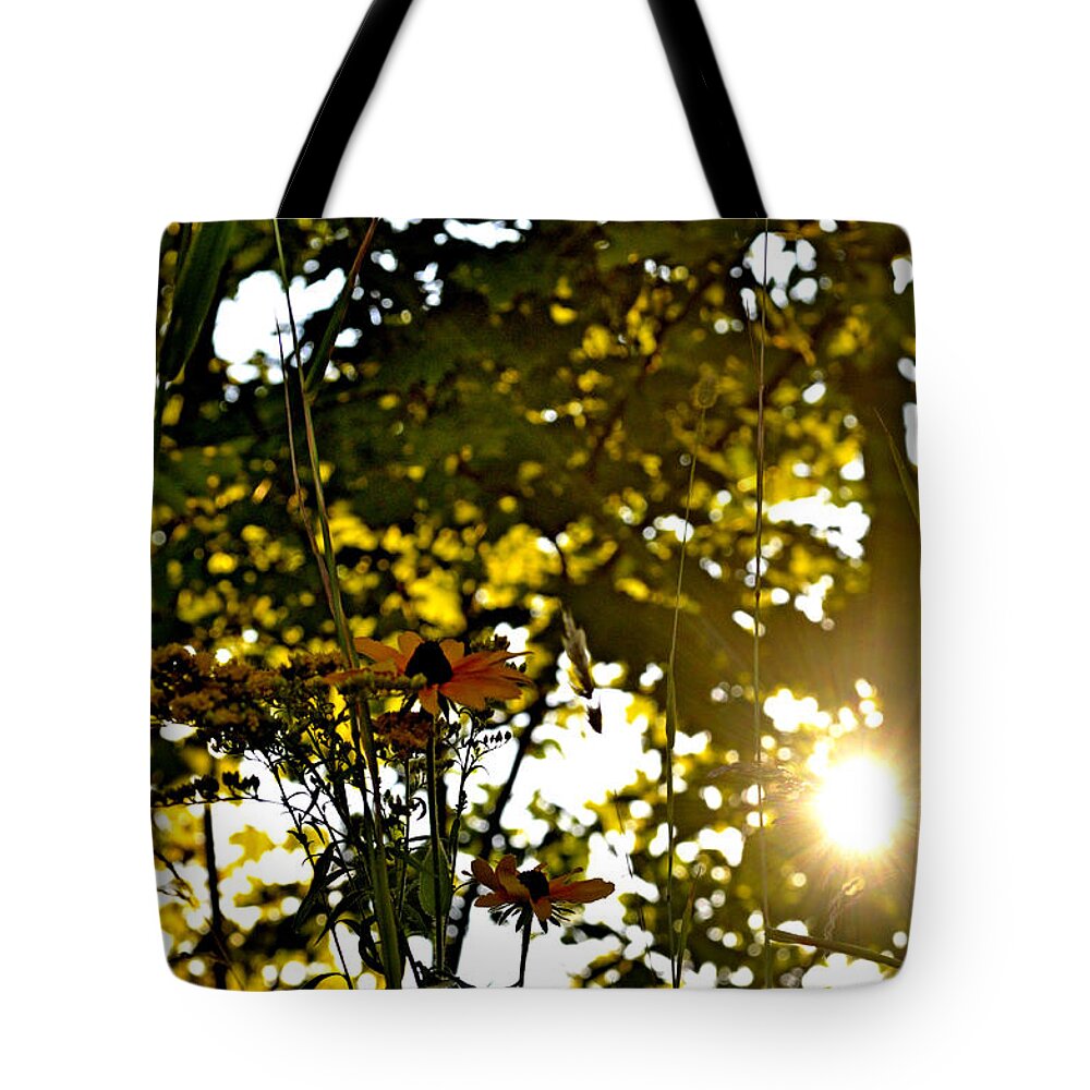 Fall Tote Bag featuring the photograph Stand Still by Donna Petersen