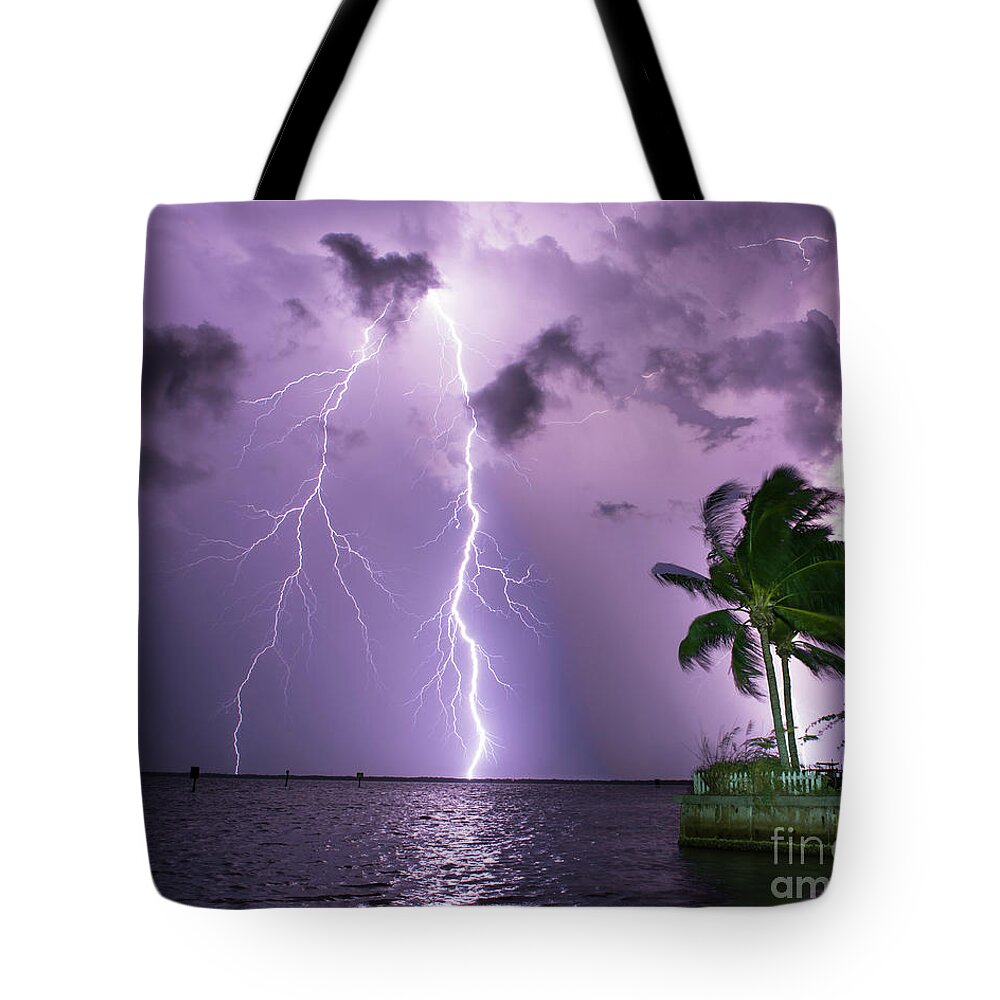  Tote Bag featuring the photograph Standard Ratio by Quinn Sedam