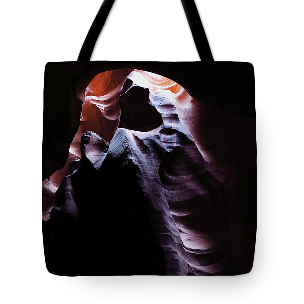 Bear Tote Bag featuring the photograph Standing Bear by Carol Milisen