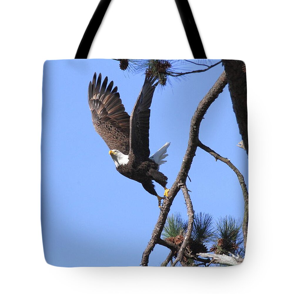 Blues Tote Bag featuring the photograph Standing Eagle by Geraldine DeBoer