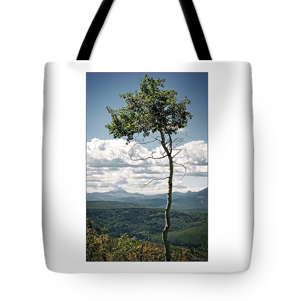 Single Tree Tote Bag featuring the photograph Standing Guard by Peggy Dietz