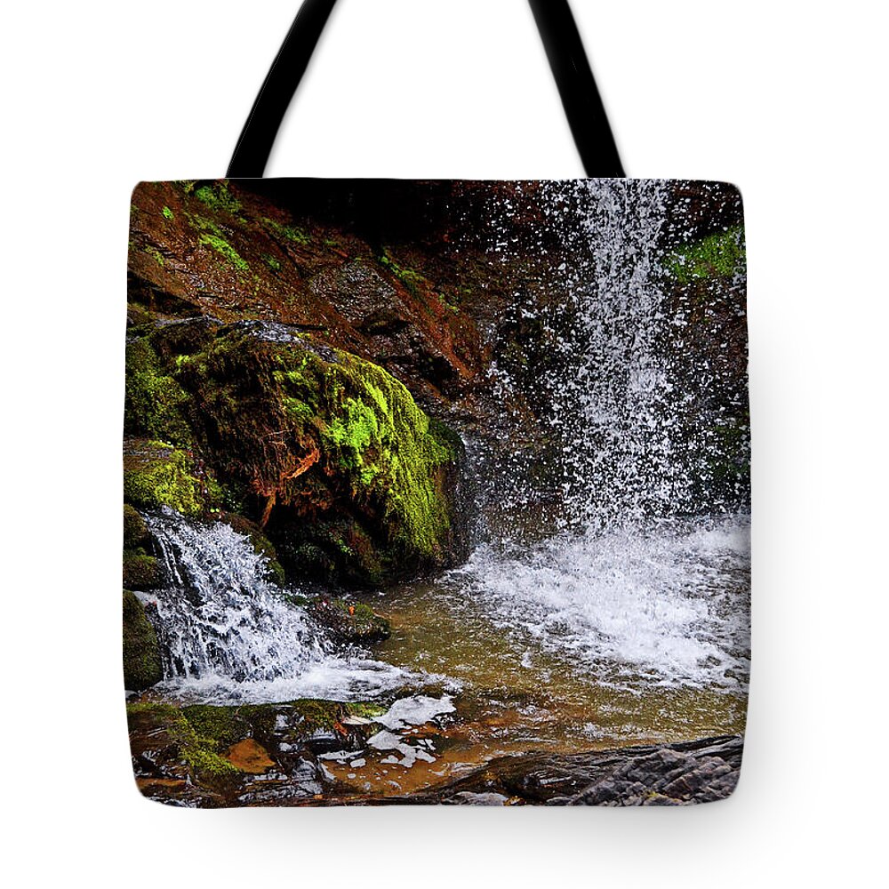 Waterfall Tote Bag featuring the photograph Standing In Motion - Brasstown Falls 011 by George Bostian