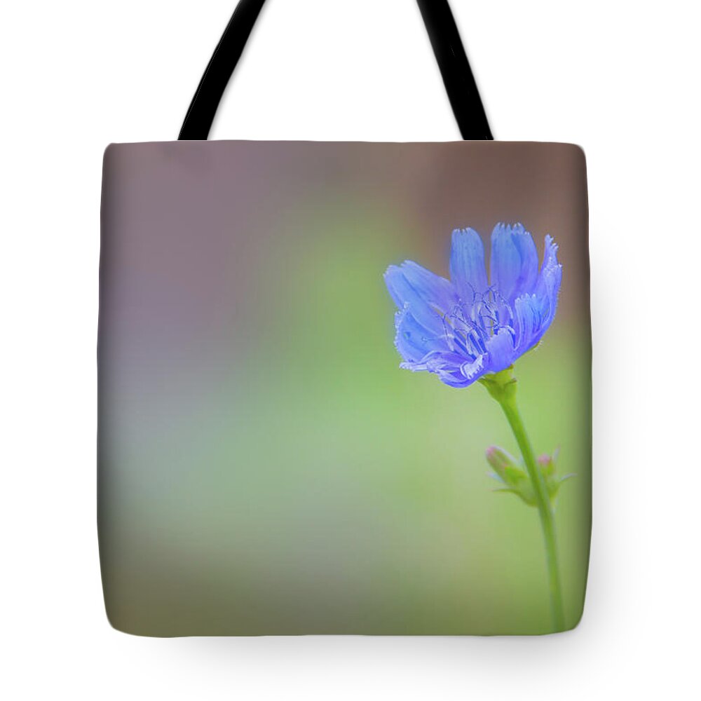 Flower Tote Bag featuring the photograph Standing In The Breeze by Elvira Pinkhas