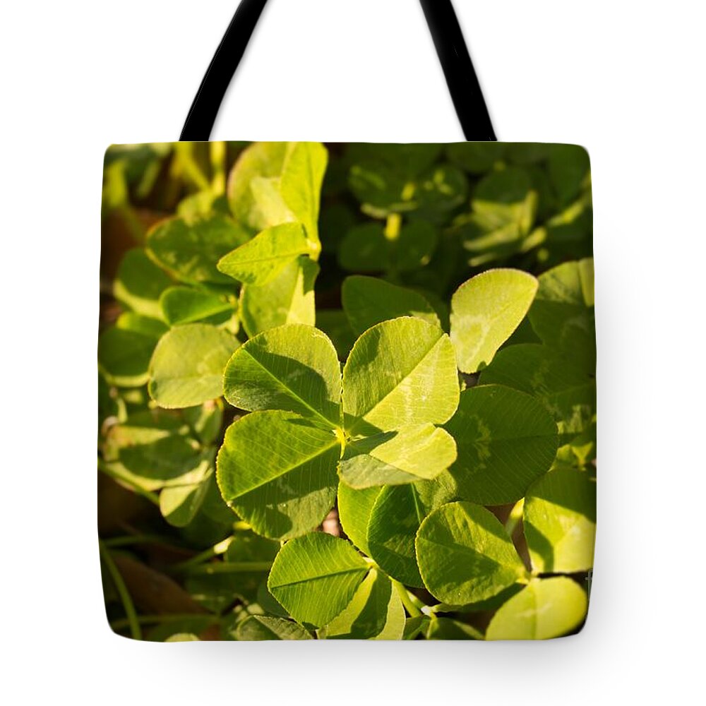 Clover Tote Bag featuring the photograph Standing Out From the Crowd by MM Anderson