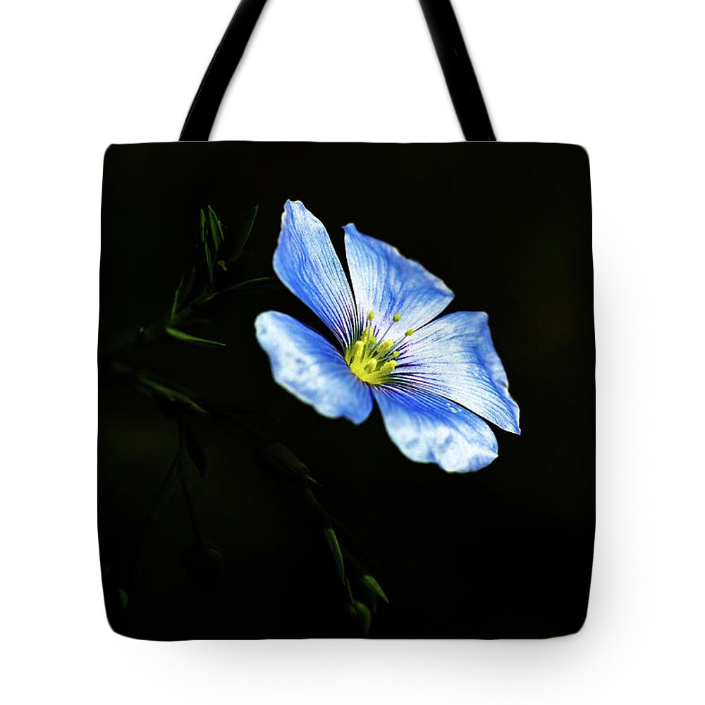 Jay Stockhaus Tote Bag featuring the photograph Standing Out by Jay Stockhaus