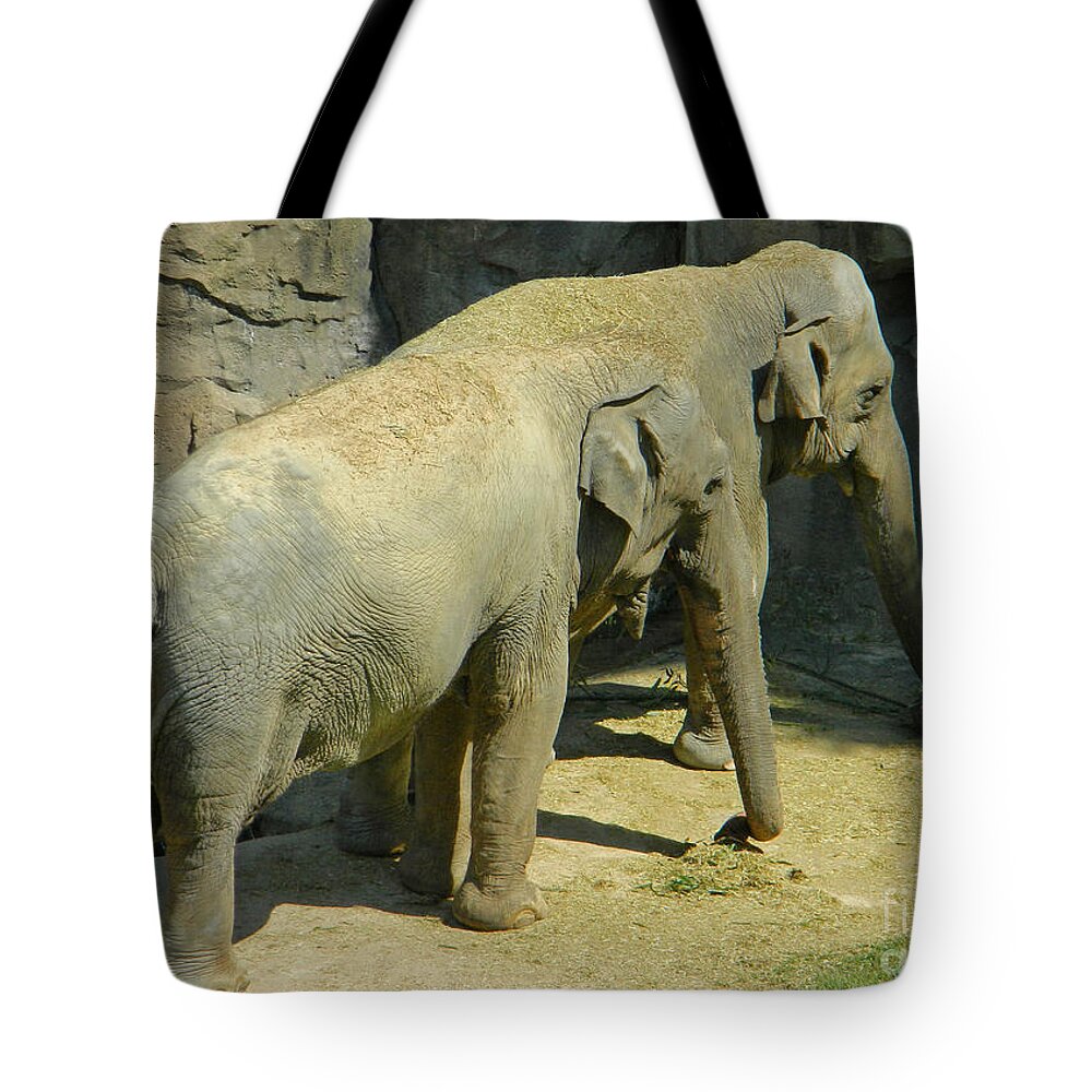 Standing Side By Side Tote Bag featuring the photograph Standing Side By Side by Emmy Vickers