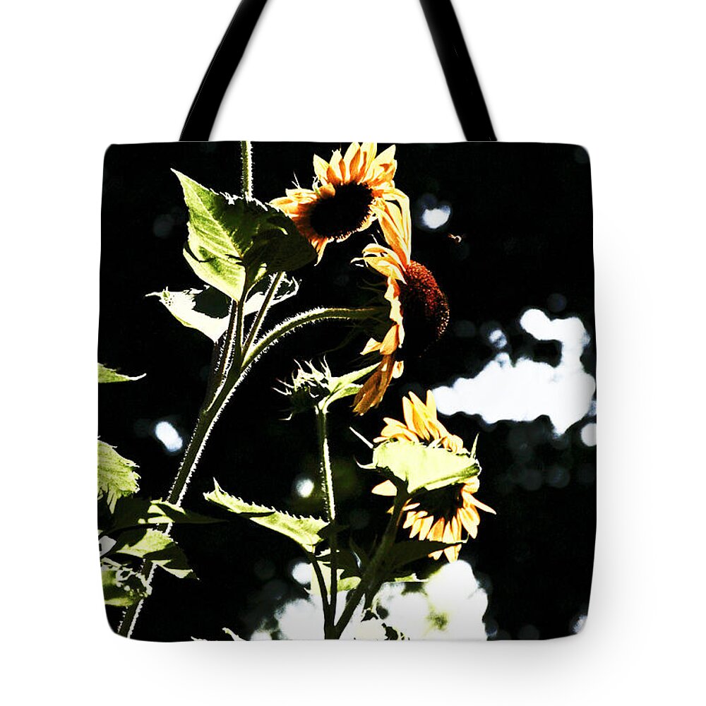  Tote Bag featuring the photograph Standing Sunflower by David Frederick