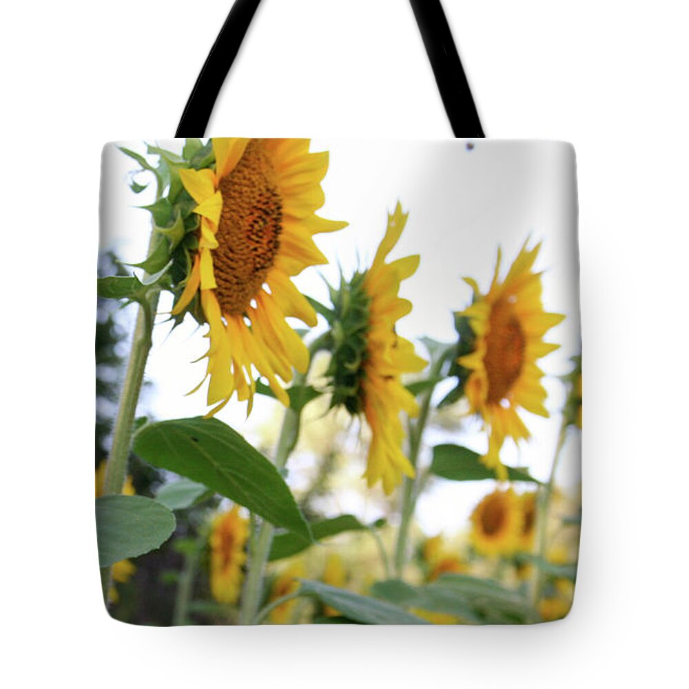  Tote Bag featuring the photograph Standing Tall by Mary Anne Delgado