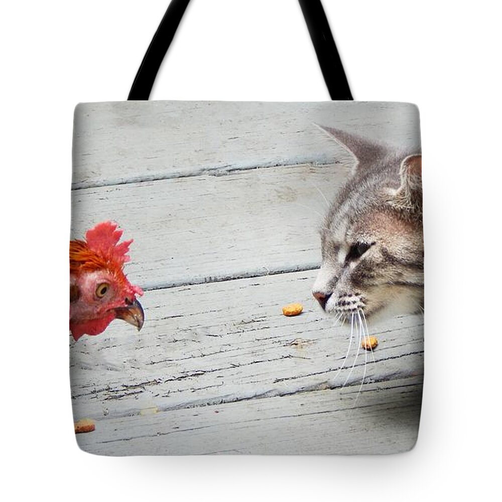 Animals Funny Comical Cat Chicken Feline Food Pet Pets Wild Chicken Rooster Tote Bag featuring the photograph Standoff by Jan Gelders