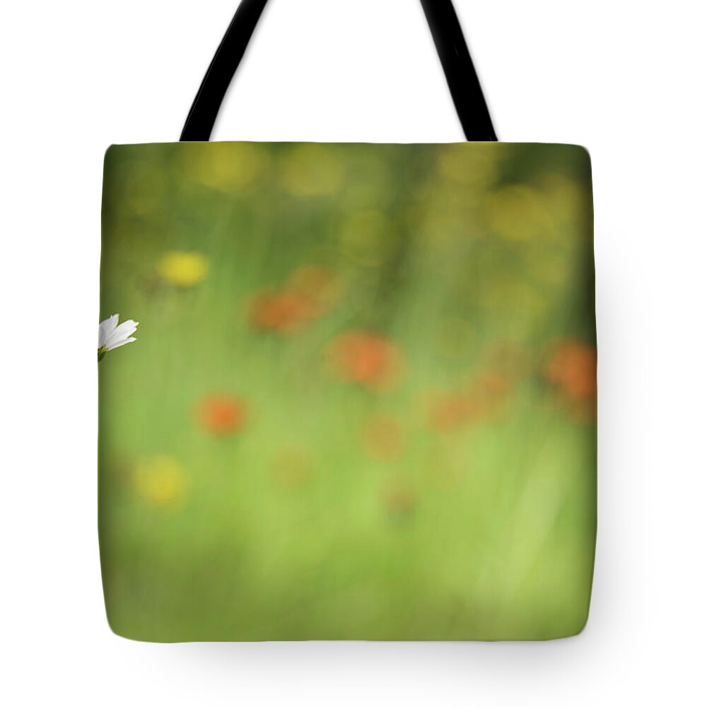 Daisy Tote Bag featuring the photograph Stands Out by Himself by Kathy Paynter