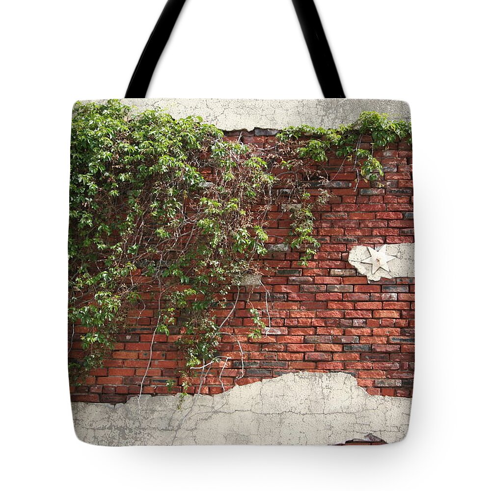 Star Bricks Tote Bag featuring the photograph Star Bricks by Dylan Punke
