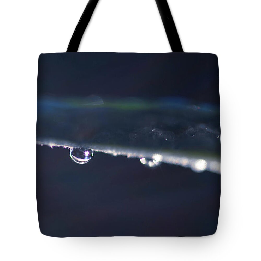 Rain Drop Tote Bag featuring the photograph Star Light Raindrop by Crystal Wightman