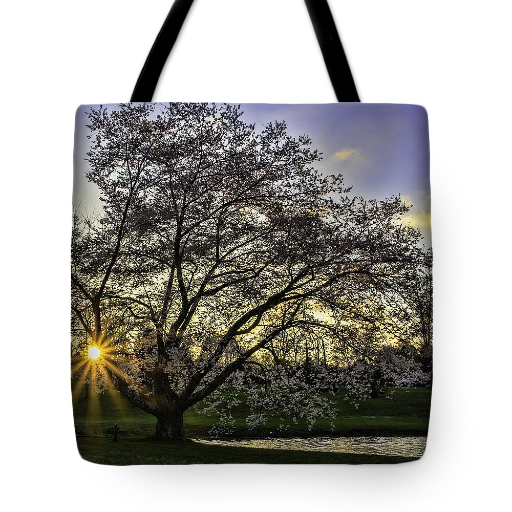 Landscape Tote Bag featuring the photograph Starburst at Sunrise by Roberta Kayne