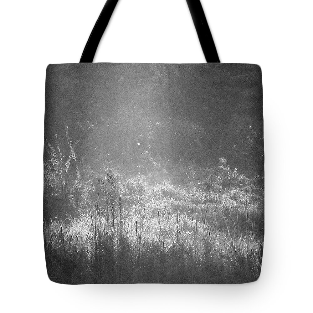 Stardust Tote Bag featuring the photograph Stardust by Mary Wolf