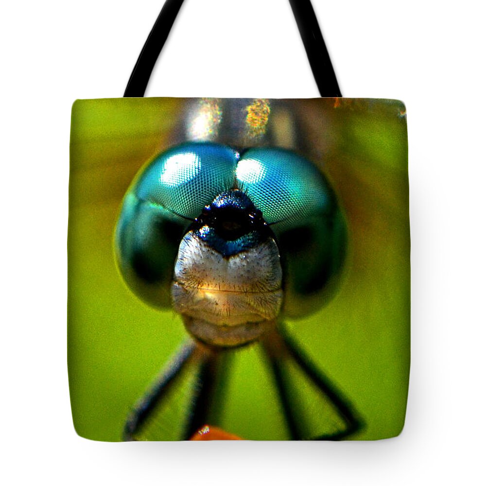 Dragonfly Tote Bag featuring the photograph Stare Down With A Dragonfly 001 by George Bostian
