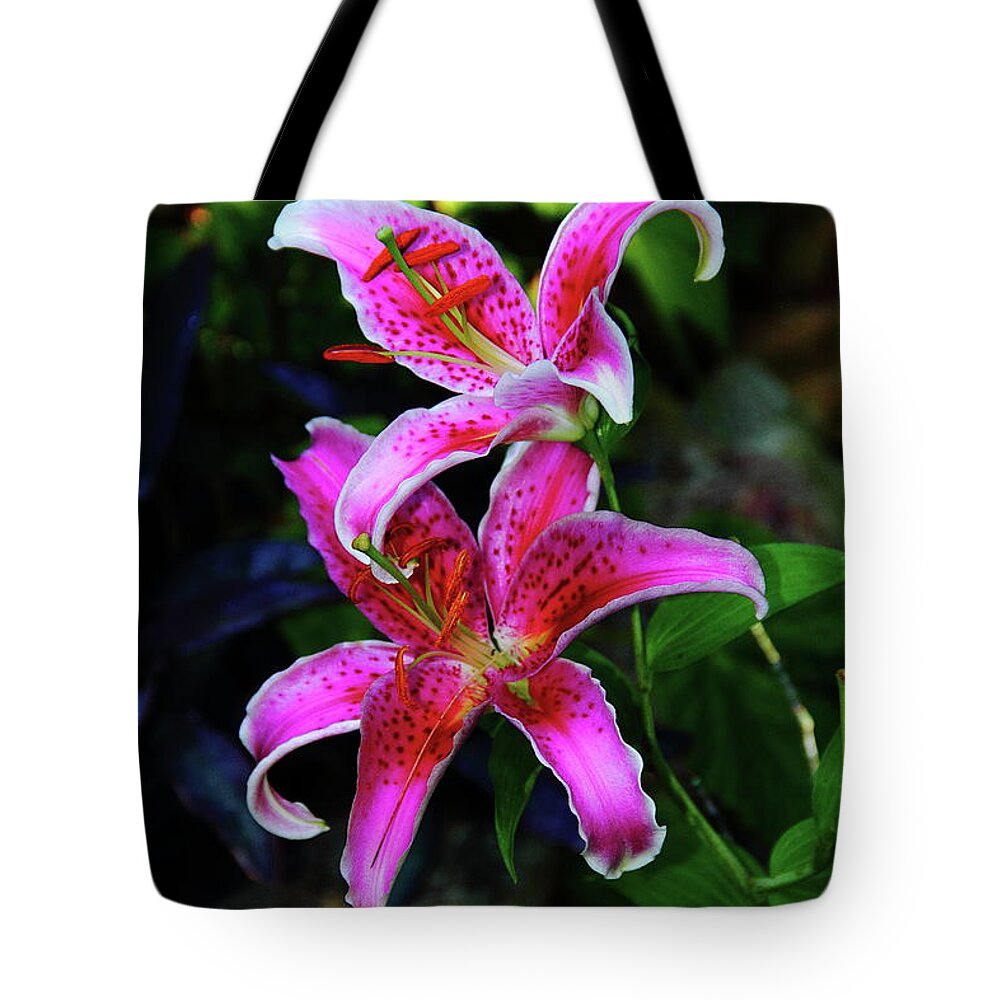 Flower Tote Bag featuring the photograph Stargazer Lily by Allen Nice-Webb