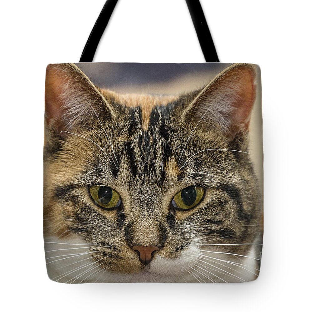 Eyes Tote Bag featuring the photograph Staring Contest by Joann Long