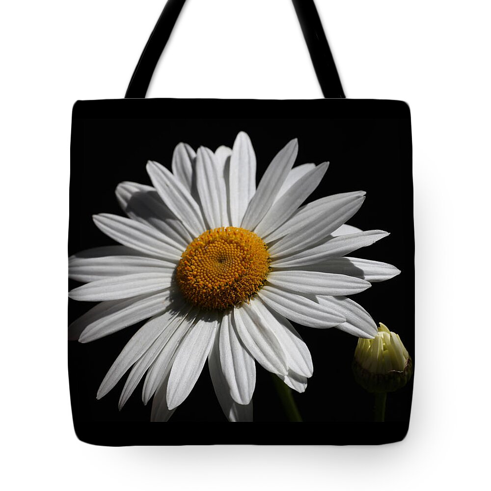 Daisy Tote Bag featuring the photograph Stark White Daisy by Tammy Pool
