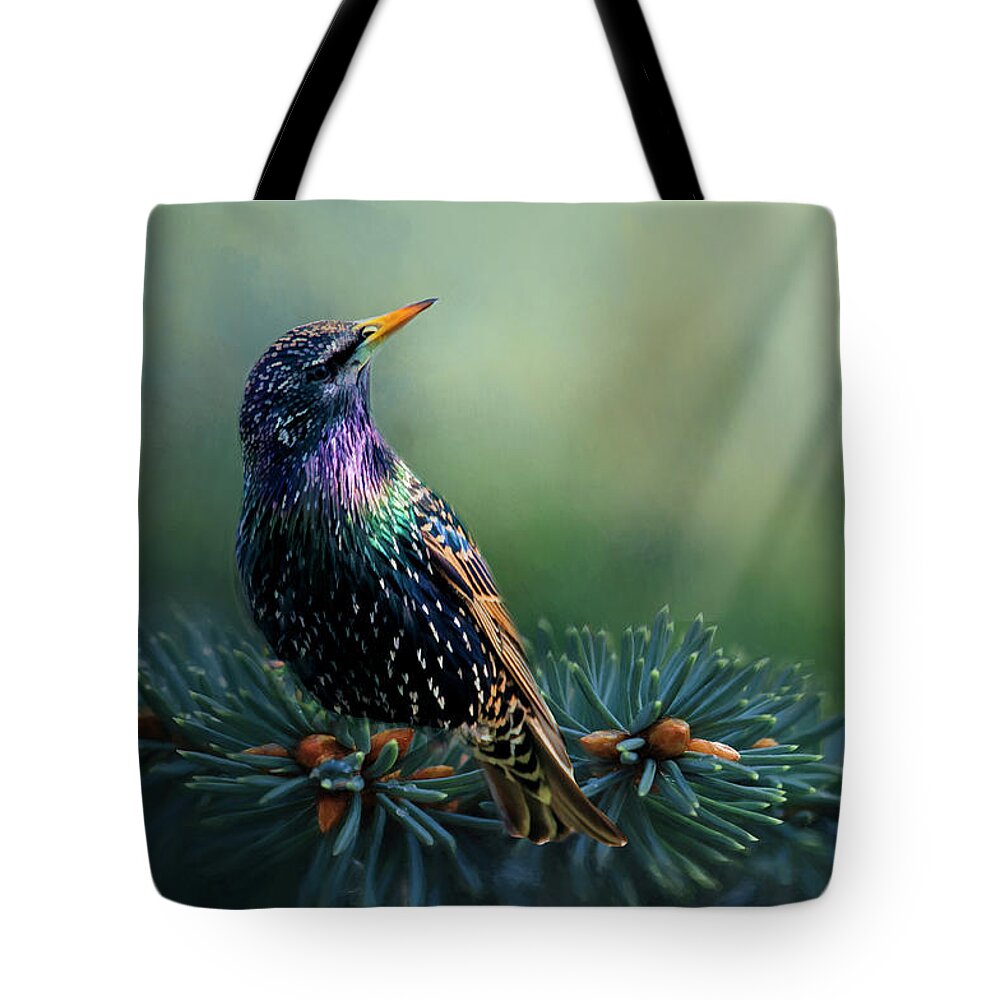 Bird Tote Bag featuring the photograph Starling by Cathy Kovarik