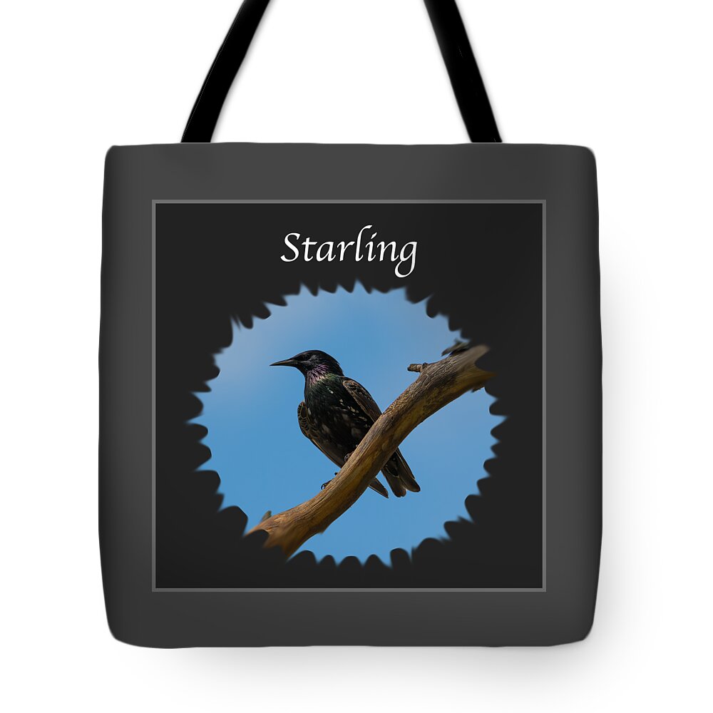 Starling Tote Bag featuring the photograph Starling  by Holden The Moment