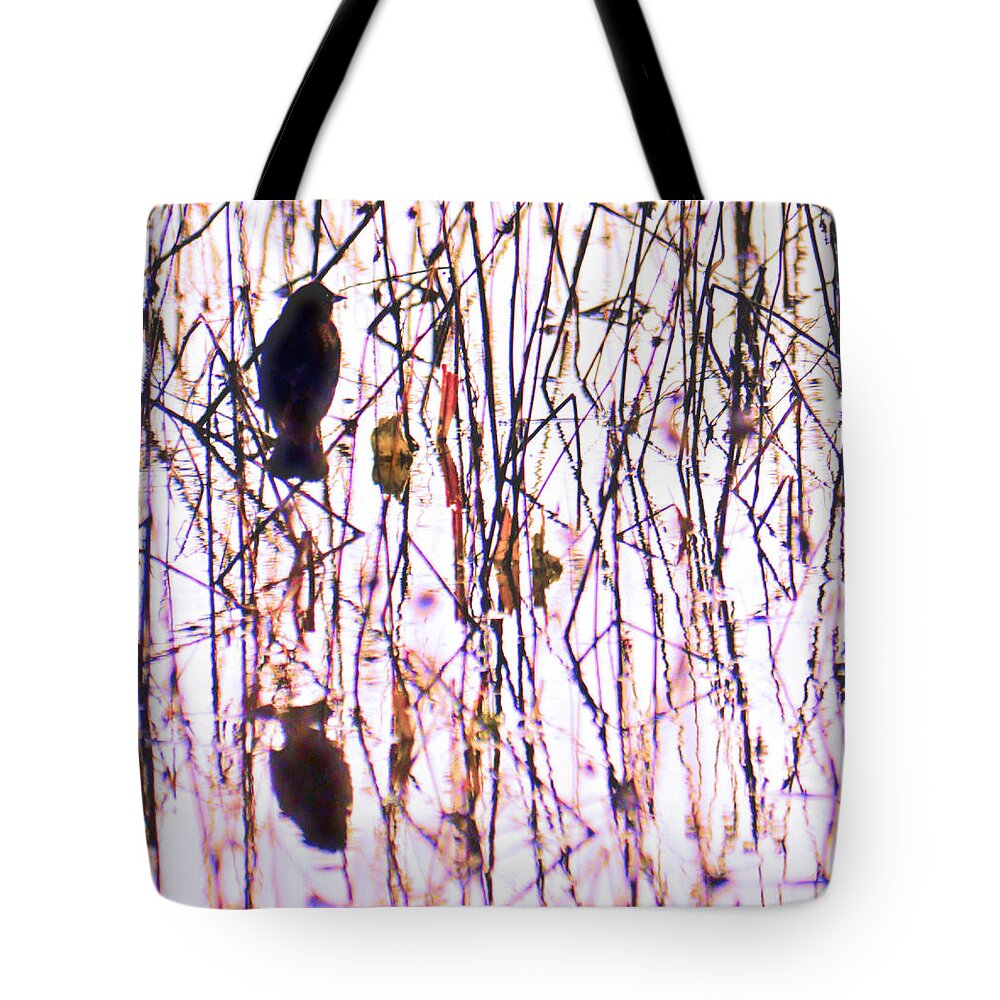 Starling Tote Bag featuring the photograph Starling Perched with Reflection by Josephine Buschman