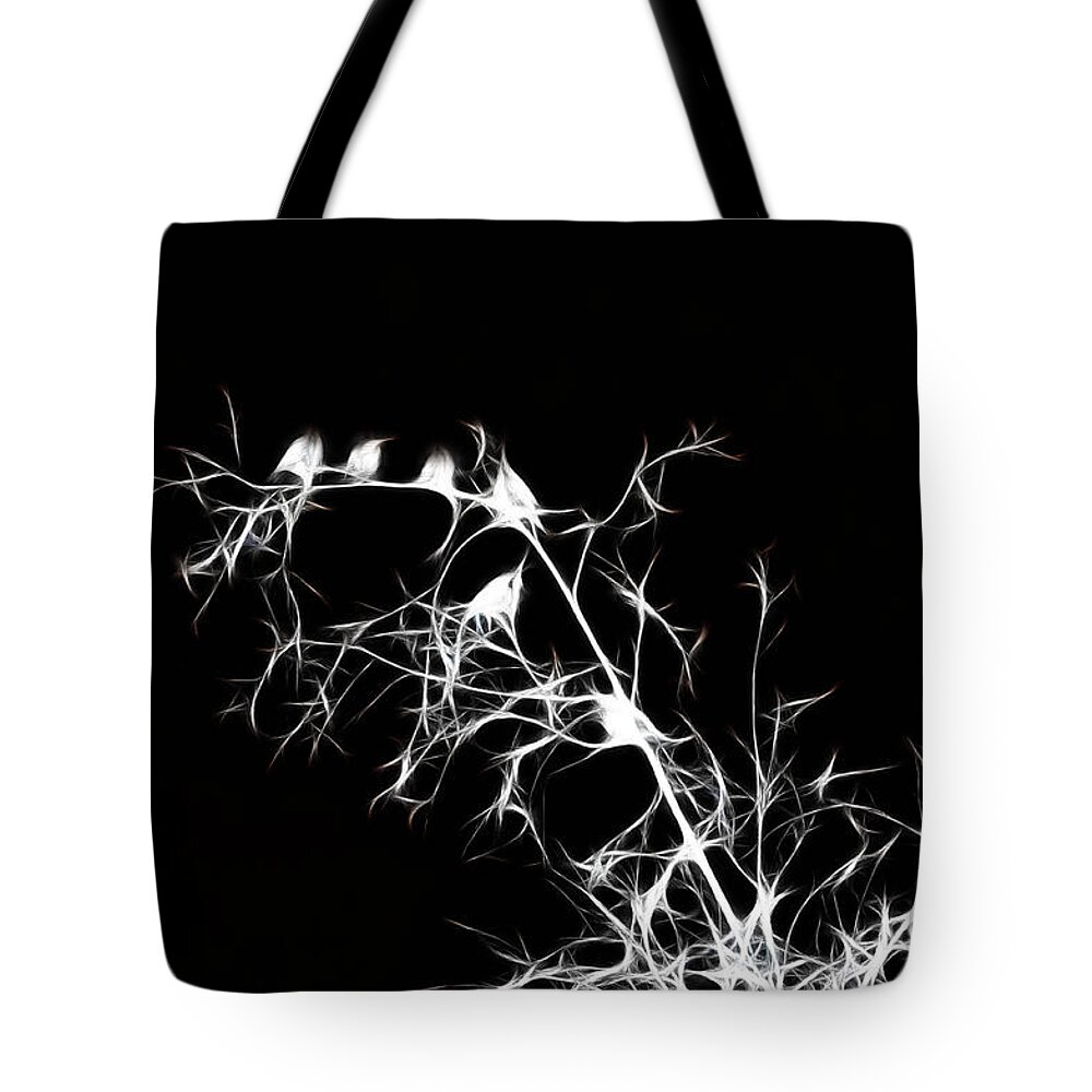 Starlings Tote Bag featuring the photograph Starlings Night by Lawrence Christopher