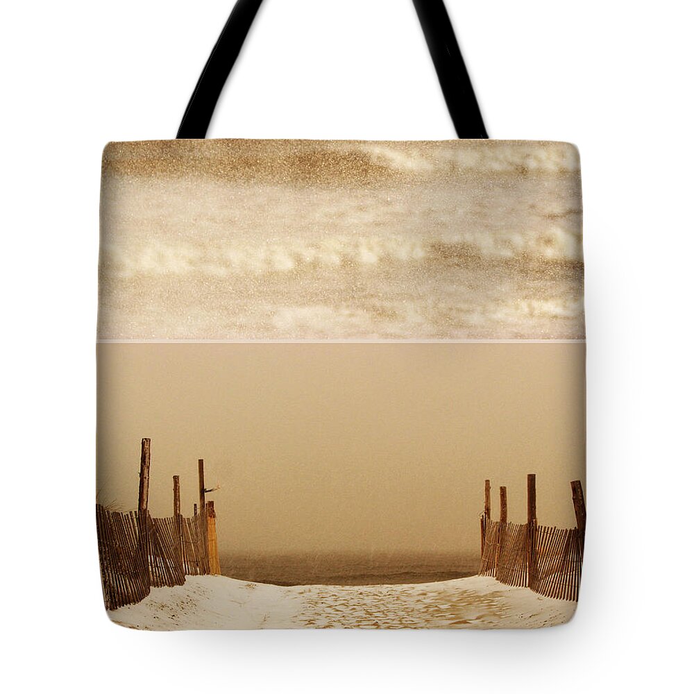 Winter Tote Bag featuring the photograph Starting Fresh by Dana DiPasquale