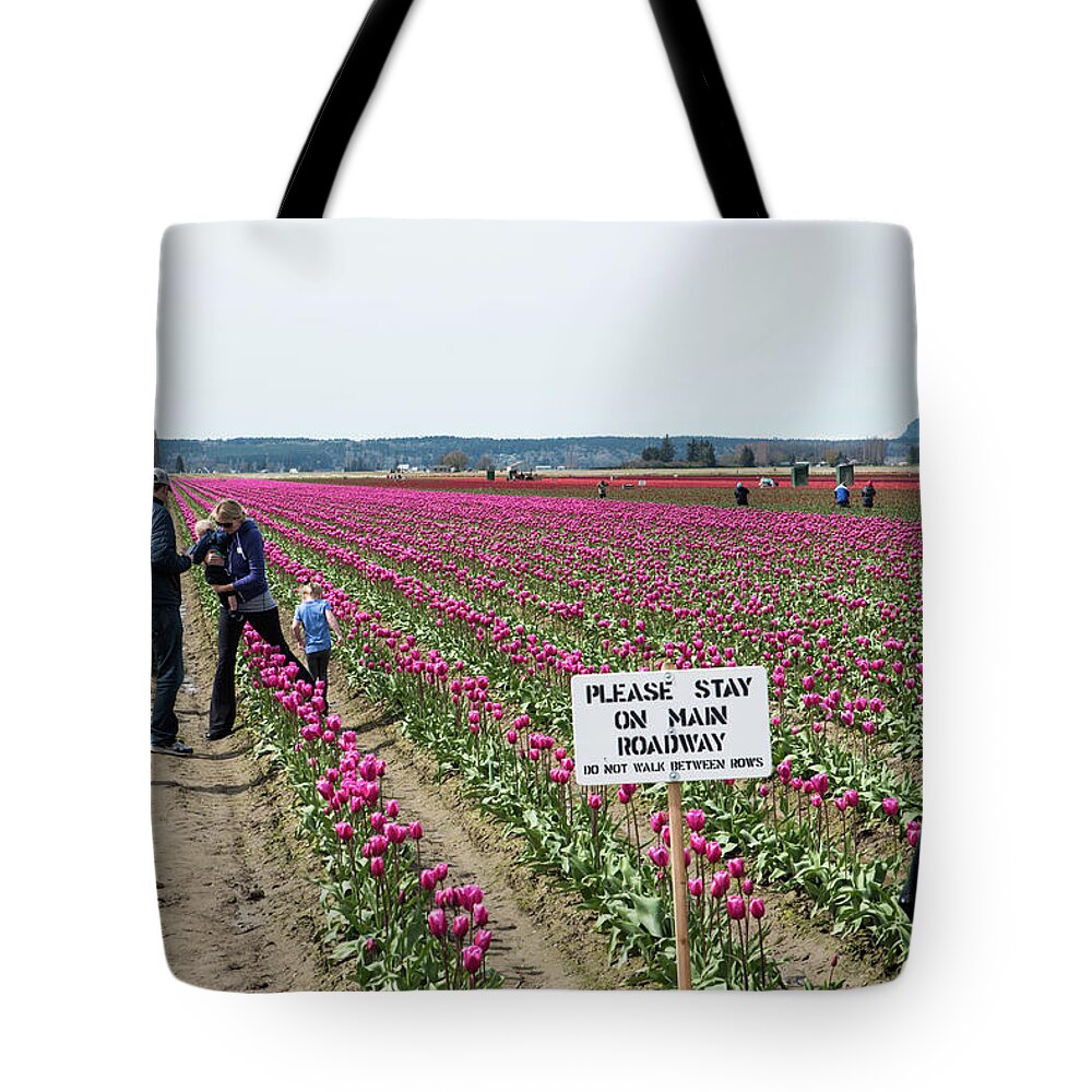 Do Not Walk Between Rows Tote Bag featuring the photograph Do Not Walk Between Rows by Tom Cochran
