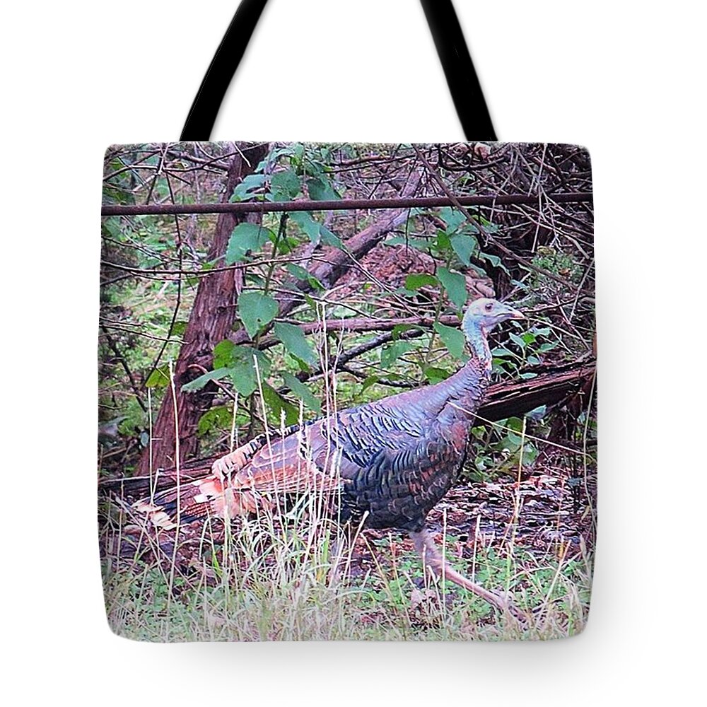 Keepaustinweird Tote Bag featuring the photograph Stay Safe Ms. #turkey! It Is Almost by Austin Tuxedo Cat