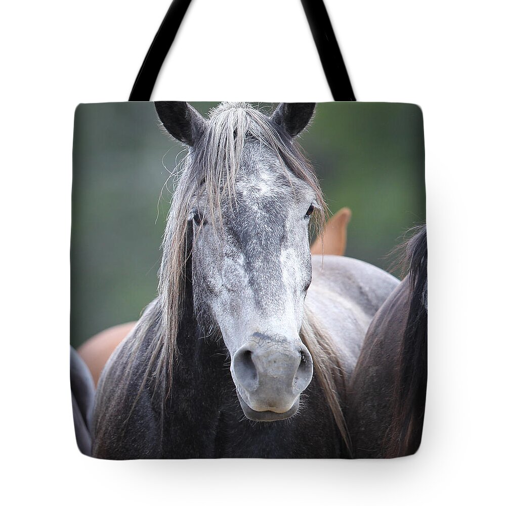 Wyoming Tote Bag featuring the photograph Steel Grey by Diane Bohna