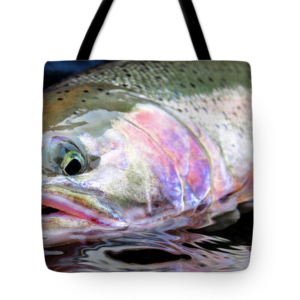 Fishing Tote Bag featuring the photograph Steelhead 3 by Jason Brooks