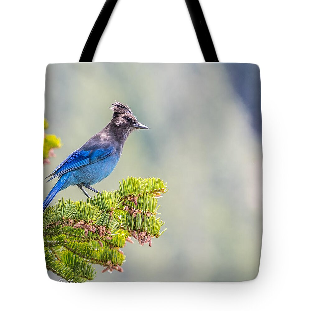 Stellars Jay Tahoe Bird Blue Tote Bag featuring the photograph Stellers Jay by Martin Gollery