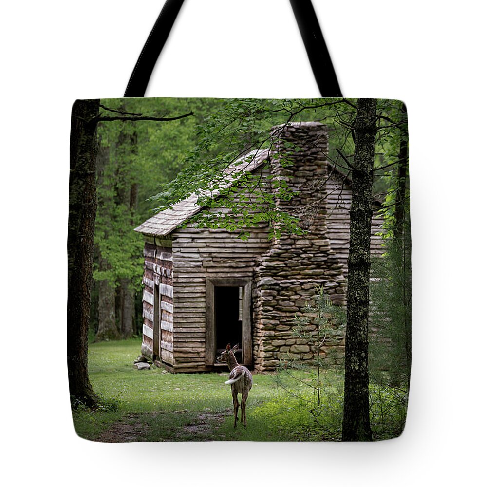 Cabin Tote Bag featuring the photograph Step Back in Time by Andrea Silies