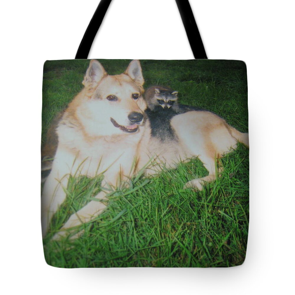 German Shepard Tote Bag featuring the photograph Step Dad For The Bandits by John King I I I