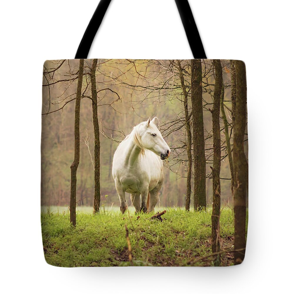Missouri Wild Horses Tote Bag featuring the photograph Stepping into the Wild by Holly Ross