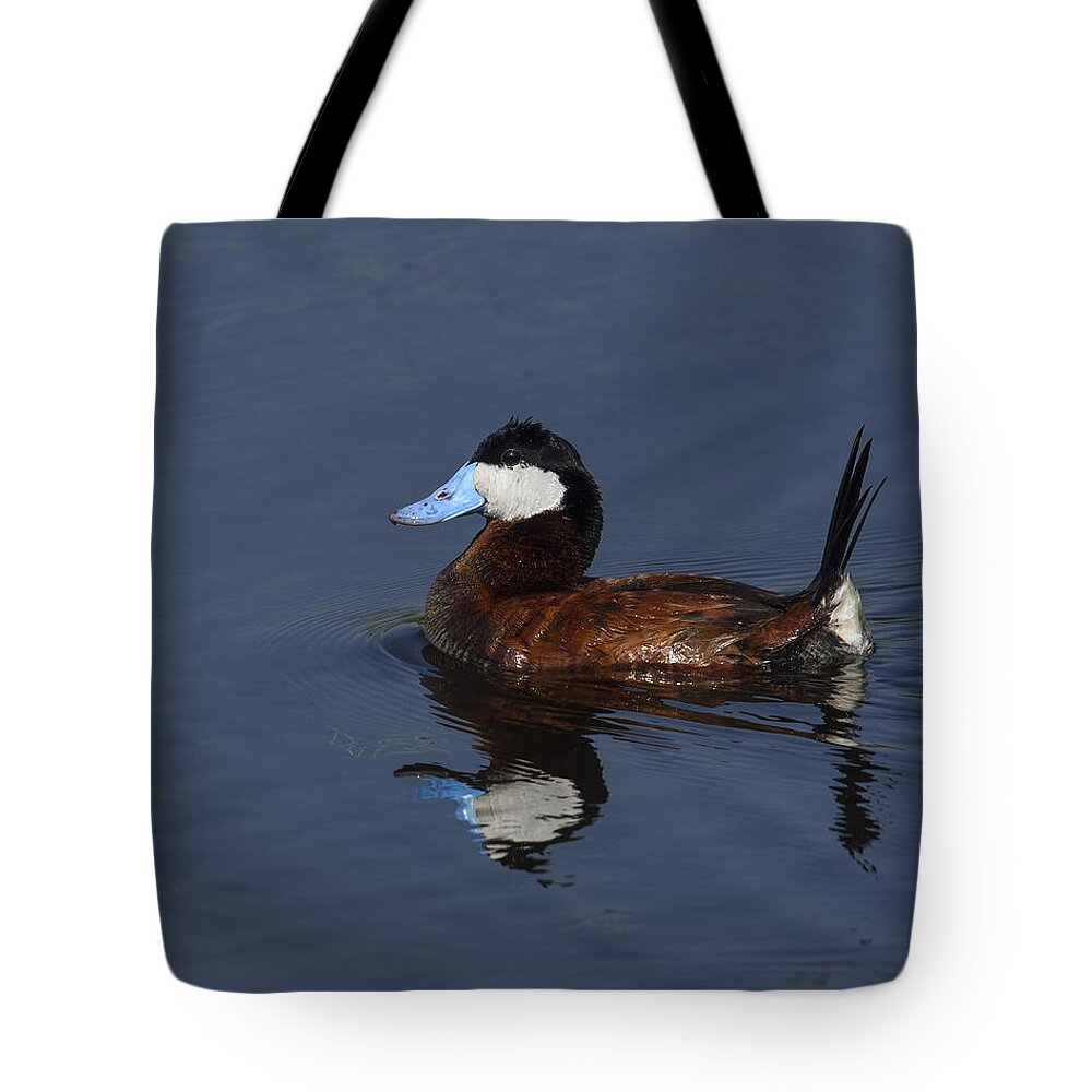 Ruddy Duck Tote Bag featuring the photograph Stiff Tail by Tony Beck