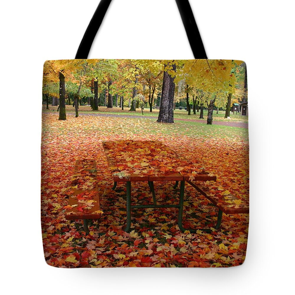 Fall Tote Bag featuring the photograph Still Fall by Marie Neder