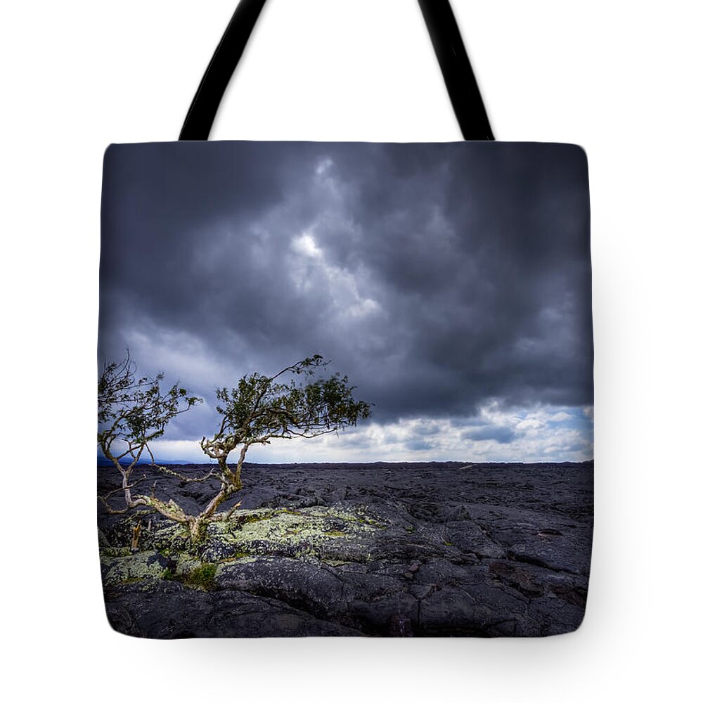 Hawaii Tote Bag featuring the photograph Still Fighting by Dan Mihai