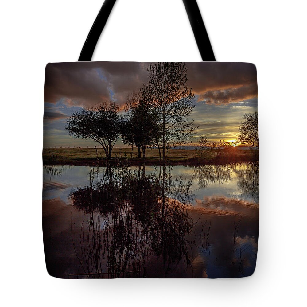 Dramatic Tote Bag featuring the photograph Stilllness Reflected by Tim Bryan