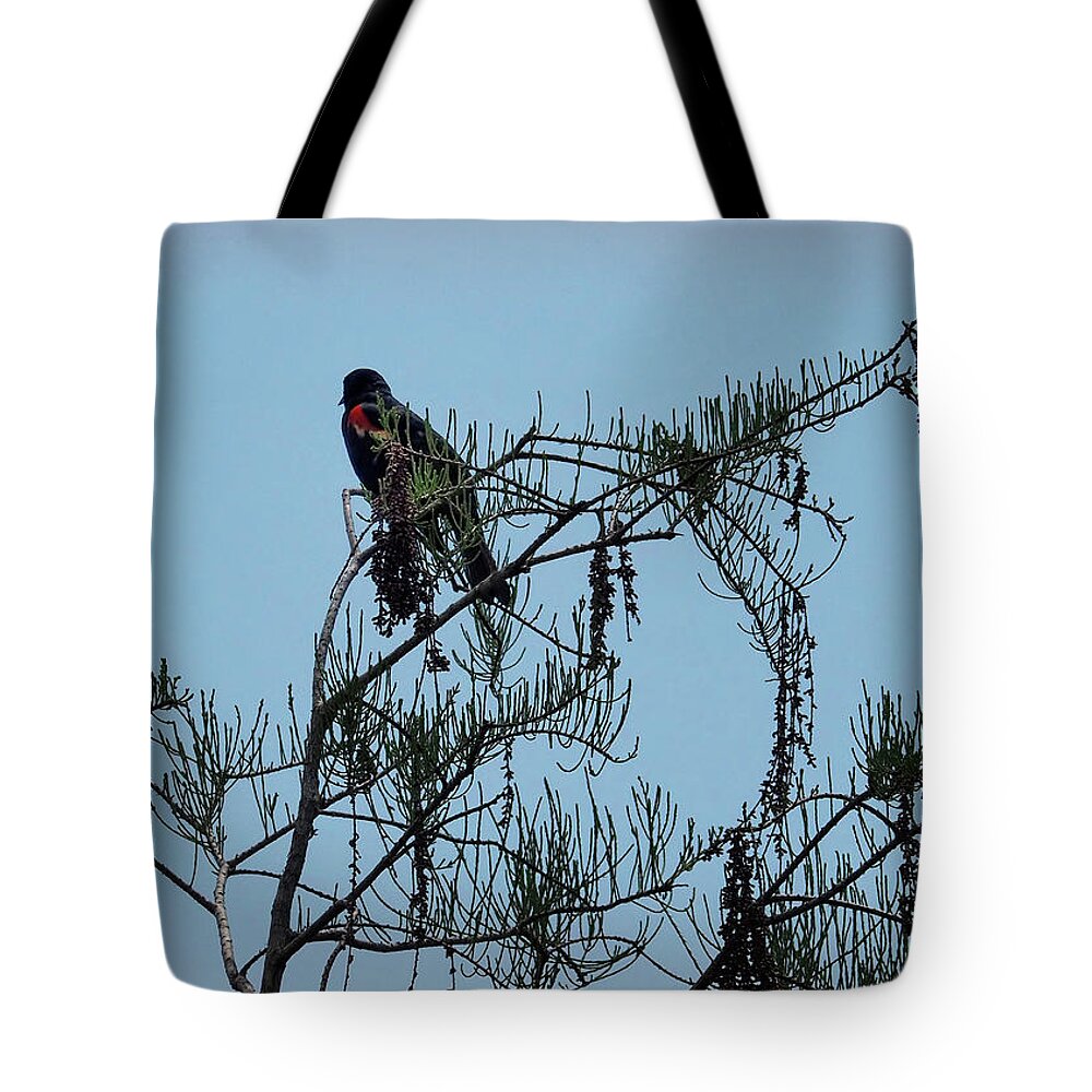 Bird Tote Bag featuring the photograph Stillness by Jim Hill