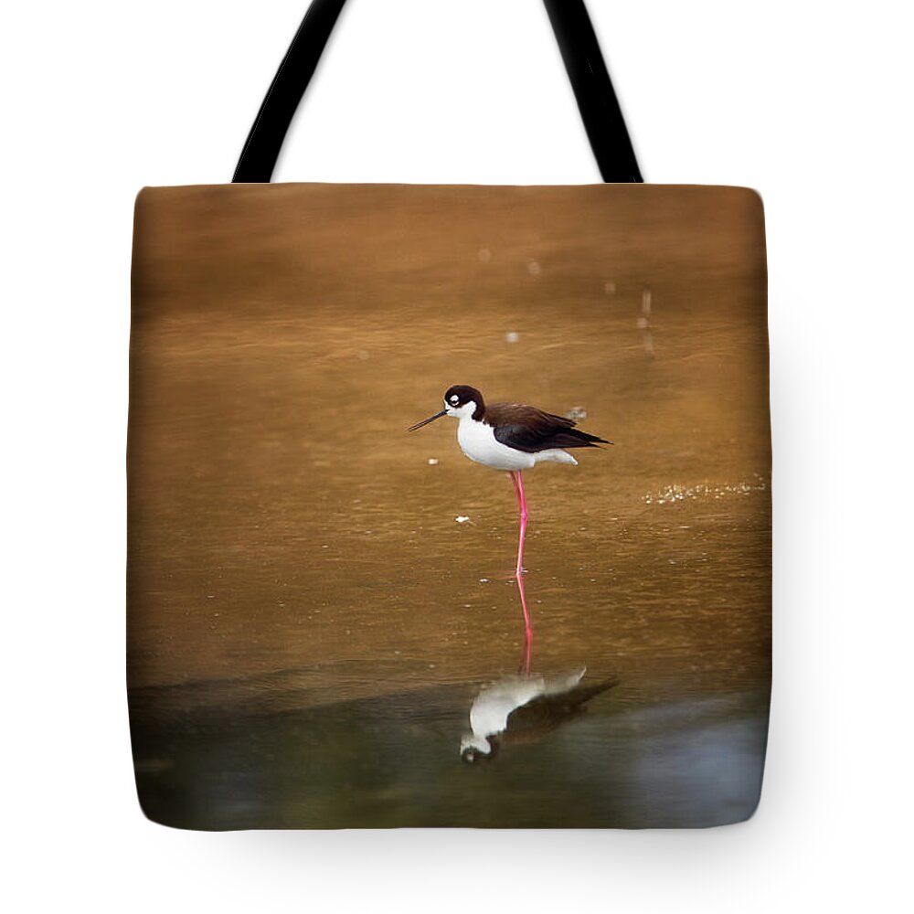 Stilt Tote Bag featuring the photograph Stilt and Reflection by Susan Gary