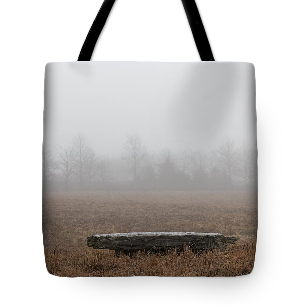 Southampton Ny Tote Bag featuring the photograph Stone Bench at Wickapogue by Steve Gravano