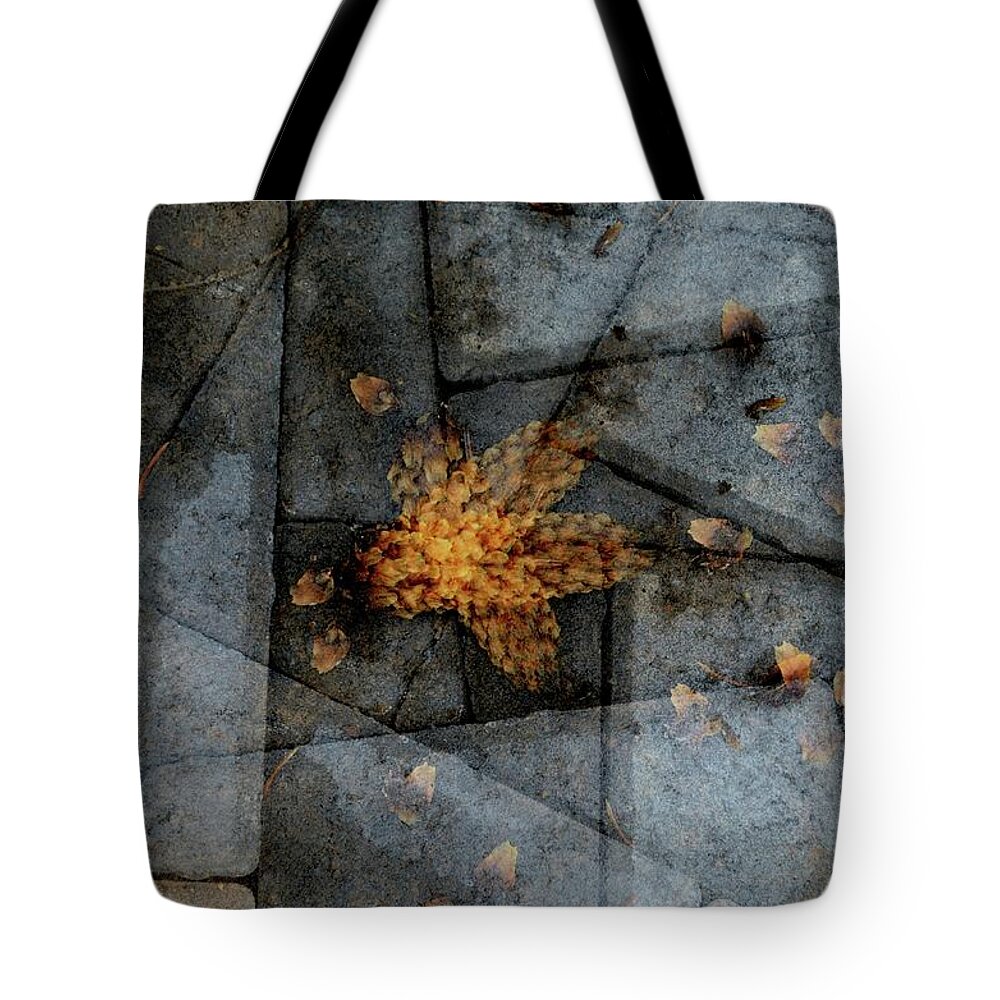 Stone Tote Bag featuring the photograph Stone Life by Cheryl Charette