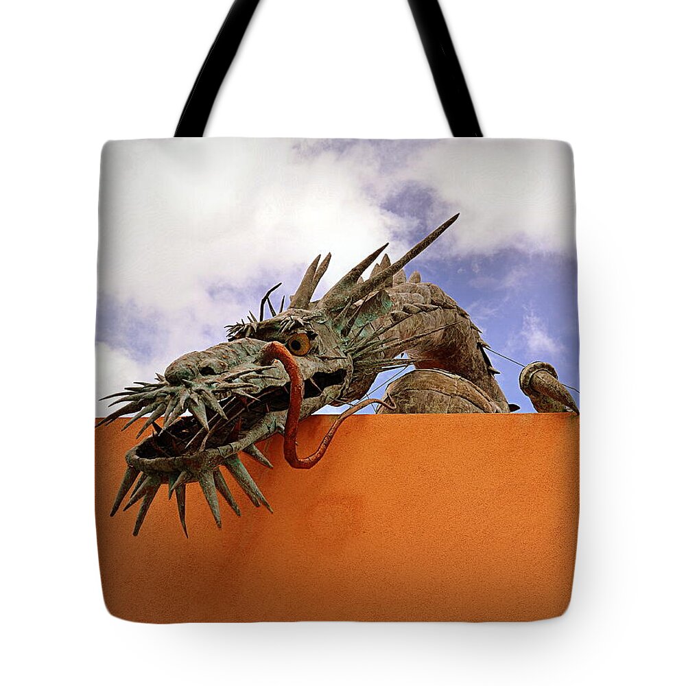 Dragon Tote Bag featuring the photograph Stop Dragon My Heart Around by Tru Waters