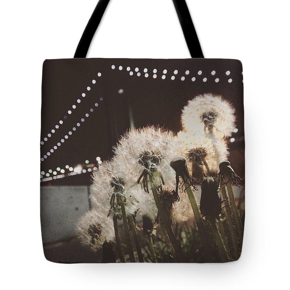Scenery Tote Bag featuring the photograph stop Trying To Be Less Of Who You by Michelle Rogers