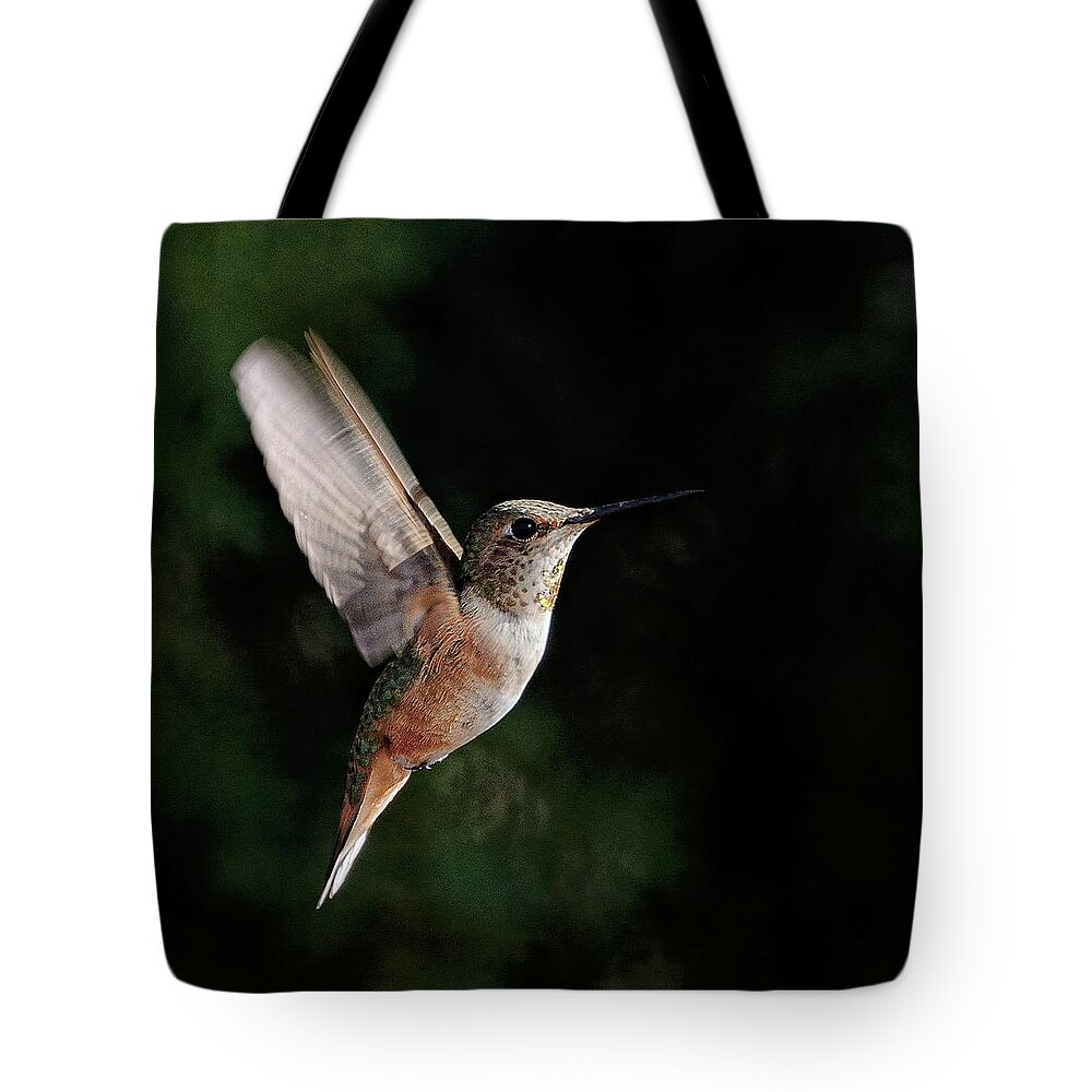 Rufous Hummingbird Tote Bag featuring the photograph Stopped To Say Hello by Debra Sabeck