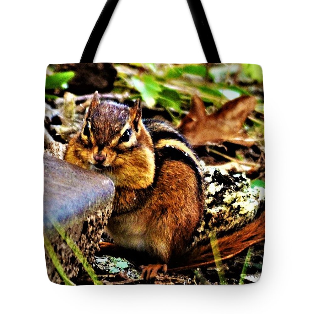 Chipmunk Tote Bag featuring the photograph Storing for Winter by Chuck Brown